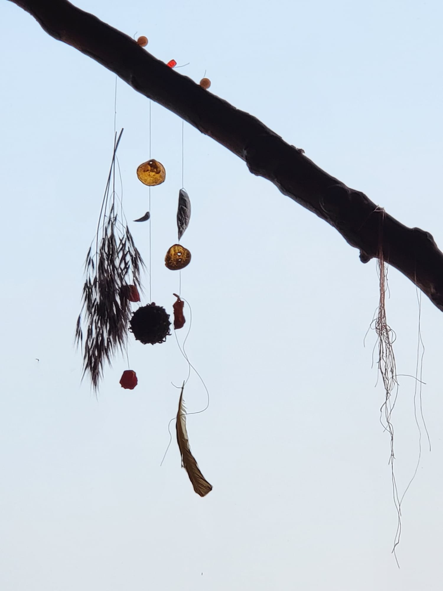 Image captured by Jah Elyse Sayers 